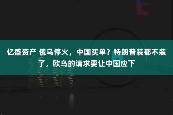 亿盛资产 俄乌停火，中国买单？特朗普装都不装了，欧乌的请求要让中国应下