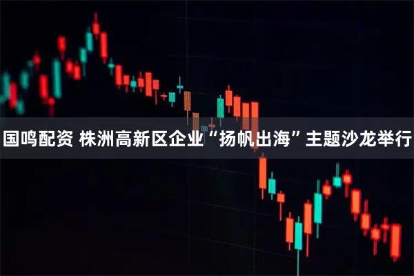 国鸣配资 株洲高新区企业“扬帆出海”主题沙龙举行