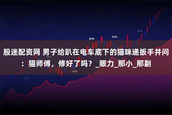 股迷配资网 男子给趴在电车底下的猫咪递扳手并问：猫师傅，修好了吗？_眼力_那小_那副