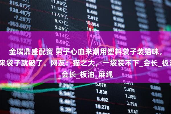 金瑞鼎盛配资 男子心血来潮用塑料袋子装猫咪，刚拎起来袋子就破了。网友：猫之大，一袋装不下_会长_板油_麻绳