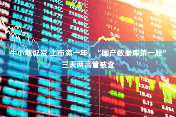 牛小散配资 上市满一年，“国产数据库第一股”三天两高管被查